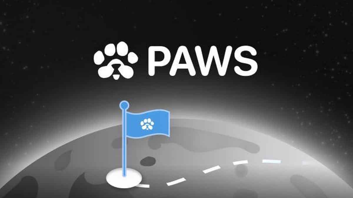 10% توکن رایگان جایزه دعوت دوستان به ایردراپ پاز PAWS